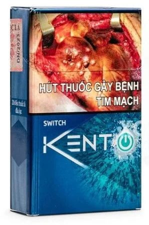 Vietnamese Kent Switch