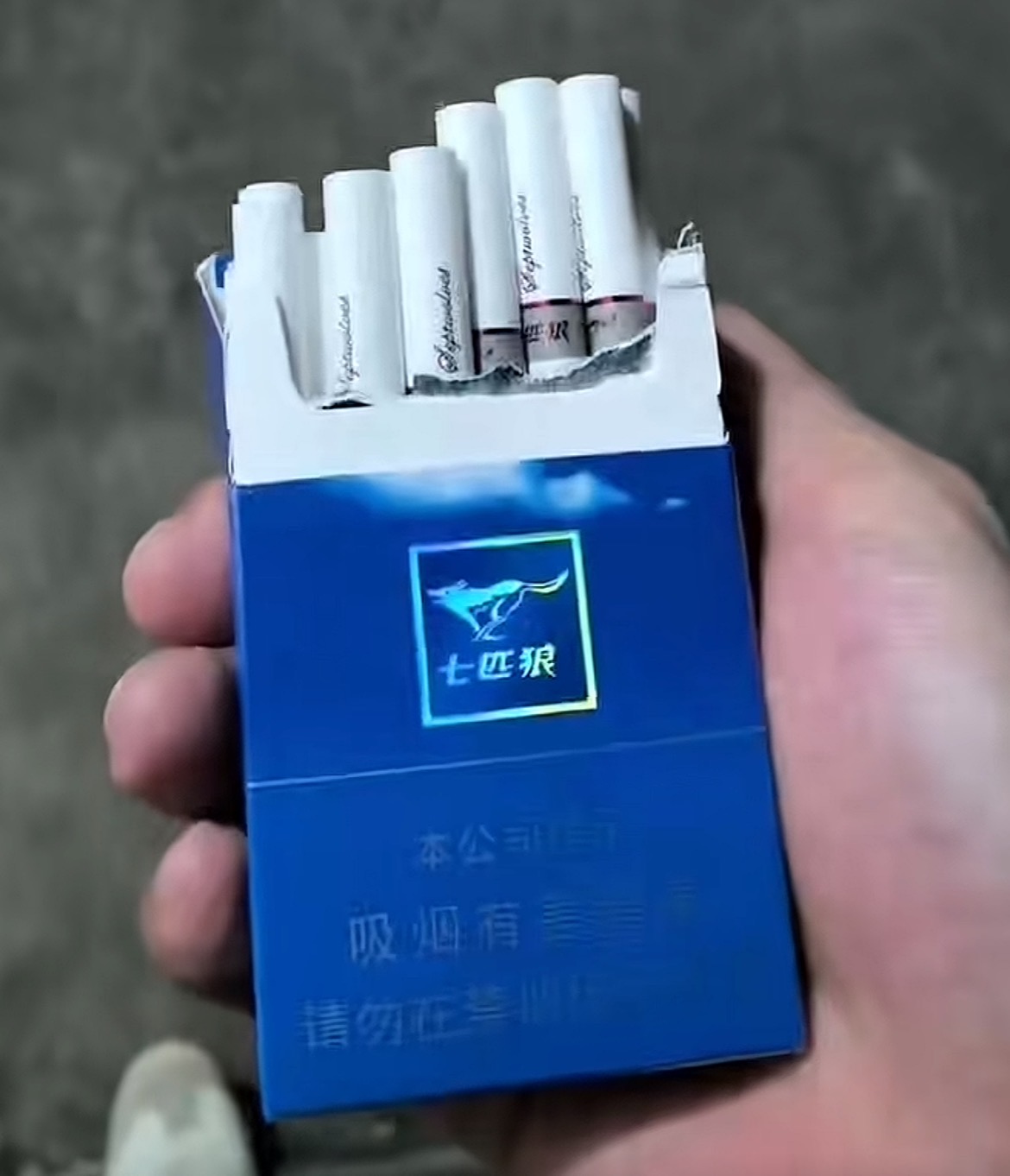 Blue wolf(10-Pack Carton) - 图片 3